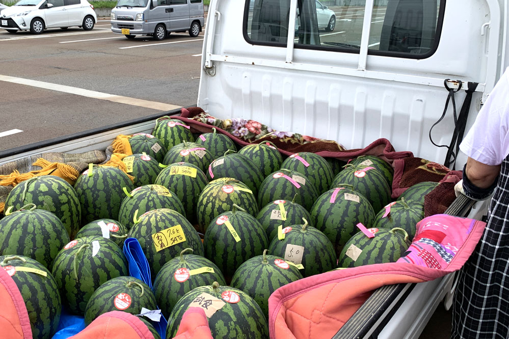 スイカがおいしい長野県飯山市温井区で、集落の農業を継承していただける、地域おこし協力隊を募集しています